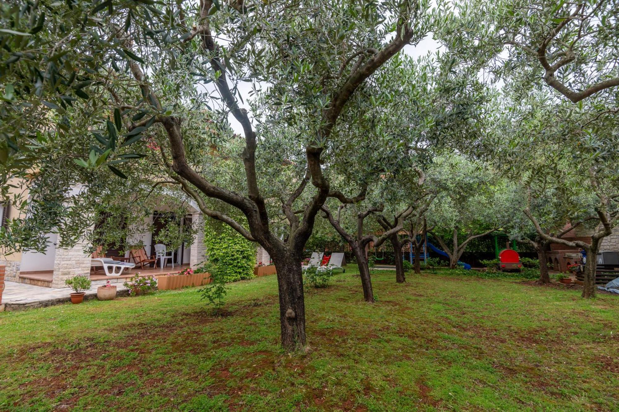 Apartments Mirella Novigrad  Exterior photo